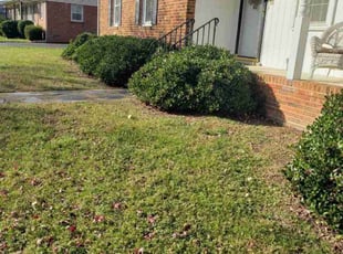 Bush Trimming by Brett Cameron for Vera M. in Richmond, VA