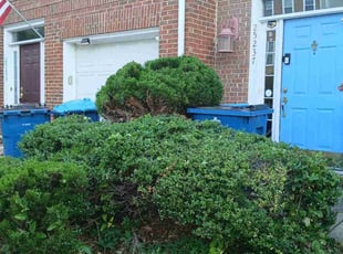 charly f.'s Bush Trimming service result