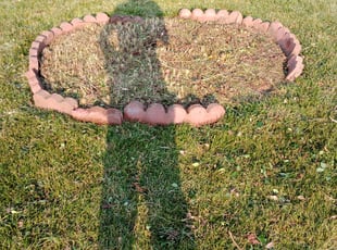 Weeding by Chenita Perry for Barb K. in Indianapolis, IN