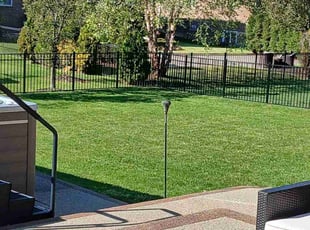 Maisoun H.'s Lawn Care service result