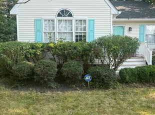 Rodney C.'s Bush Trimming service result