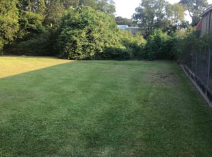 Ruth M.'s Lawn Service service result