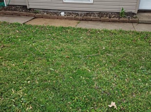 Weeding by Antwan McDonald for William S. in Granite City, IL