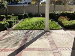 Mary B.'s Yard Cutting service result