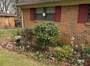 Bush Trimming by Xavier Haygood for Vernita J. in Huntsville, AL