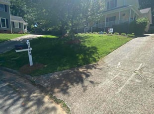 Ashley L.'s Yard Cutting service result