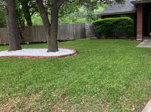 Marissa A.'s Lawn Care service result