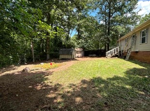 Denise W.'s Leaf Removal service result