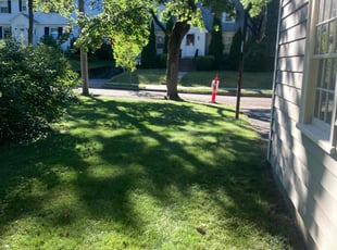 Whitney W.'s Lawn Service service result