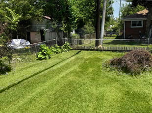 Raymond P.'s Grass Cutting service result