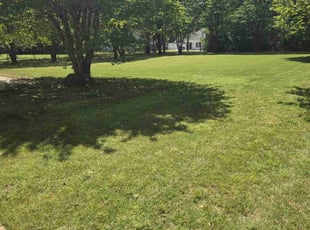 Yeftusira M.'s Yard Cutting service result