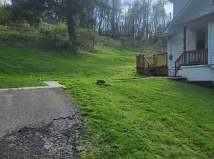 Roy C.'s Lawn Mowing service result