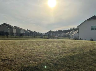 Jack N.'s Lawn Maintenance service result