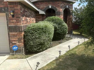 Bush Trimming by Carlos Arteaga for Michael A. in San Antonio, TX