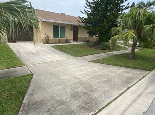Tyeisha B.'s Grass Cutting service result