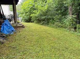 Ayana G.'s Lawn Care service result
