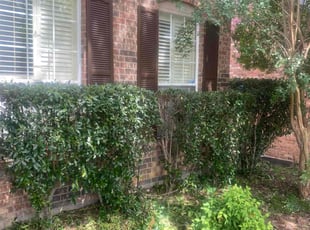Toney, B.'s Lawn Maintenance service result