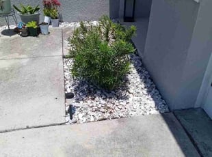 Weeding by Jose Medina for Ivan S. in Davenport, FL