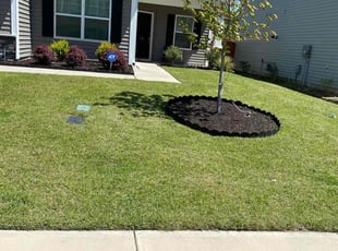 Devilyn J.'s Lawn Mowing service result