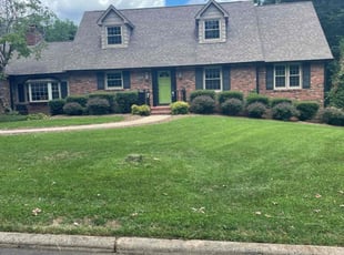 Kenneth C.'s Lawn Mowing service result