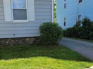Bush Trimming by Jonathan McNamara for Kate L. in Worcester, MA