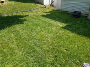 Dwight B.'s Lawn Maintenance service result