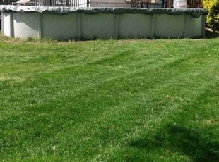 Tom J.'s Lawn Service service result