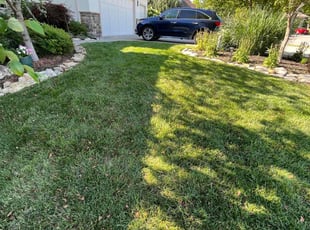 Shahzad M.'s Lawn Care service result