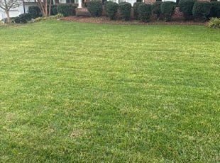Angela K.'s Lawn Mowing Service service result