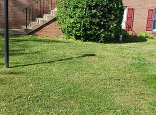 Bush Trimming by Manny Chavez for Mercedes B. in Woodbridge, VA