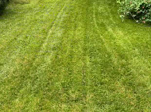 Doug L.'s Lawn Mowing Service service result
