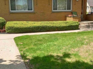 Bush Trimming by Freddie Wilson for Clayton P. in Milwaukee, WI