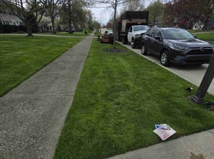 Donald C.'s Lawn Maintenance service result
