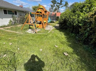 Leaf Removal by Allisa Cuellar for Christopher L. in Visalia, CA