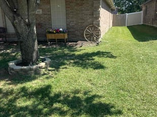 Jennifer A.'s Lawn Mowing service result