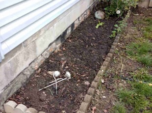 Weeding by Greg Moore for Laura T. in Columbus, OH