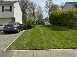 pamela j.'s Yard Cutting service result