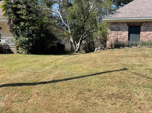 Cleanups by Nick Durham for Juan R. in Ridgeland, MS