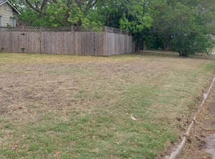 Cleanups by Martin Ferrara for Kyle C. in San Antonio, TX