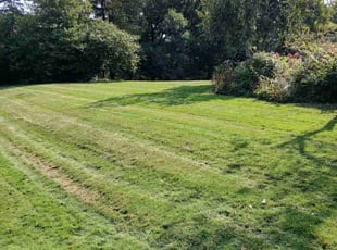Ryan R.'s Lawn Mowing Service service result