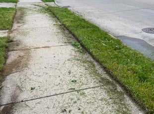 Justin C.'s Lawn Service service result
