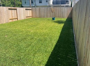 Briana D.'s Yard Cutting service result