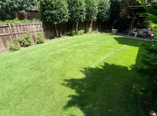 Tesia B.'s Lawn Service service result