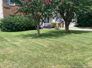 Marsha D.'s Lawn Care service result