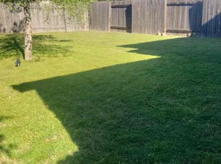 Sandra M.'s Lawn Mowing service result