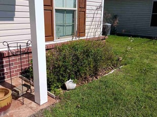 Weeding by Jared Lecompte for Torrel B. in Denham Springs, LA