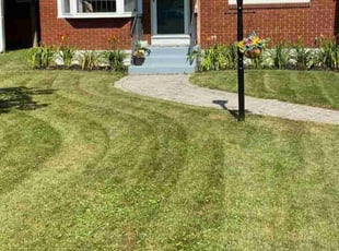 Danae J.'s Lawn Mowing Service service result