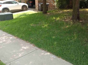 Alisha R.'s Lawn Care service result