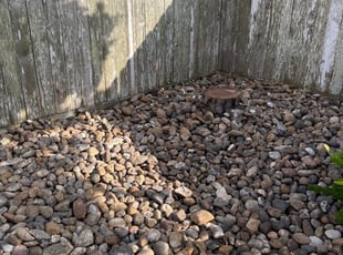 Weeding by Ryan Villanueva for Steven S. in Corpus Christi, TX