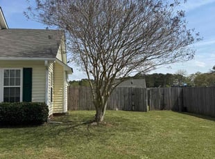 Bush Trimming by Kinnon Tatum for Dannettia B. in Raeford, NC